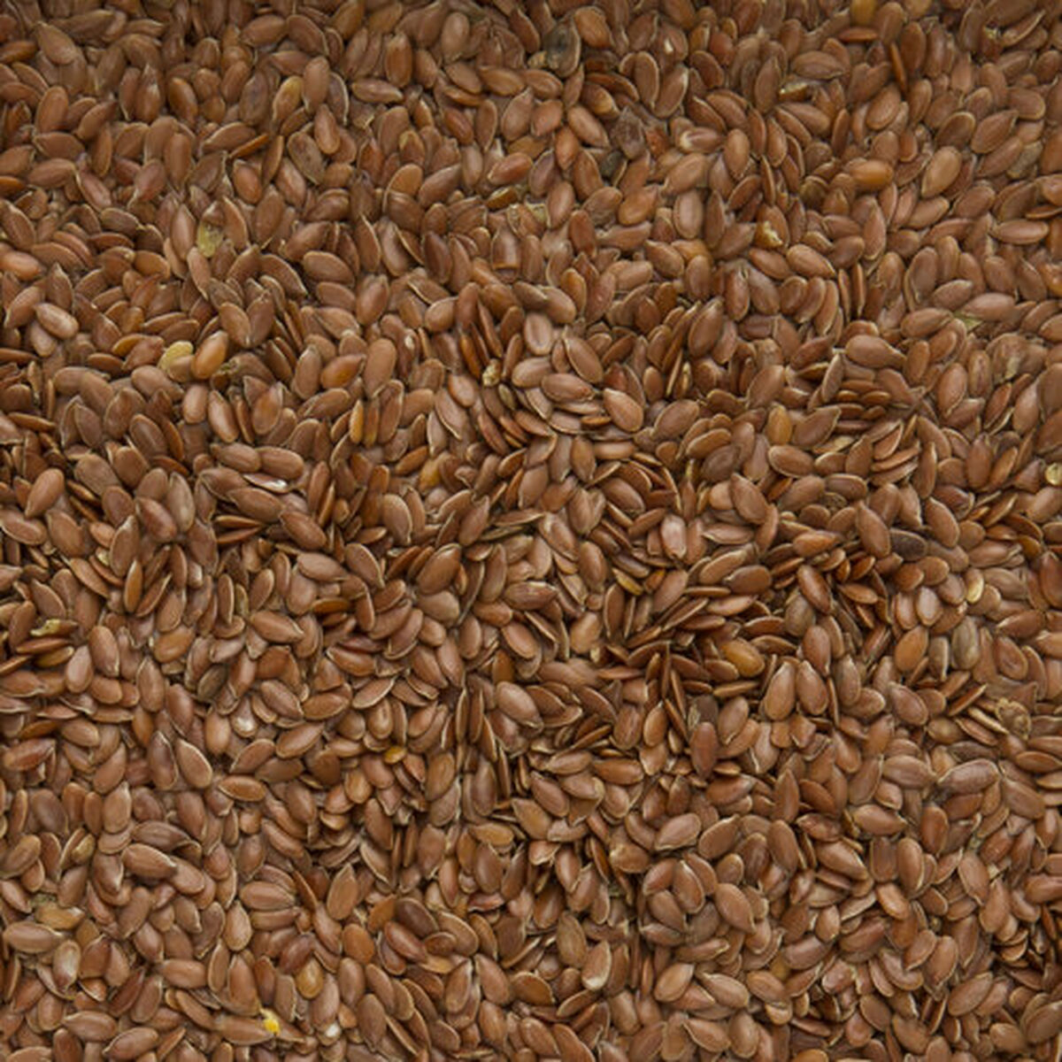 Madáreledel Deli Nature Premium